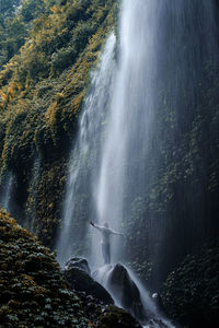 Scenic view of waterfall in forest