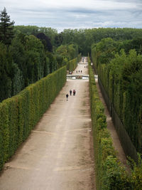 People walking on road
