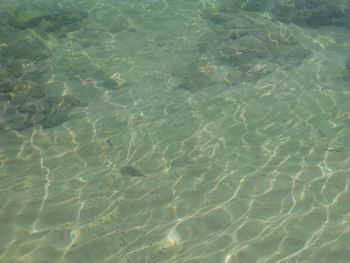 Full frame shot of water in swimming pool