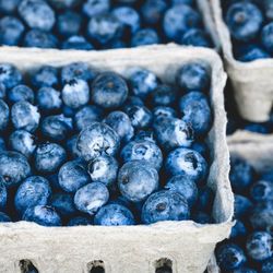 Close-up of blueberries