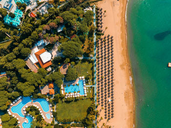 Luxurious beach resort with swimming pool and beach chairs and palm trees.