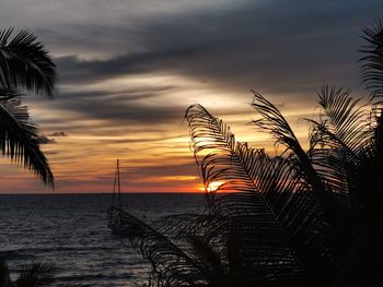 Palm trees by sea against sky during sunset