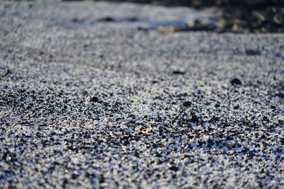 asphalt
