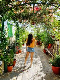 Rear view of woman standing amidst plants