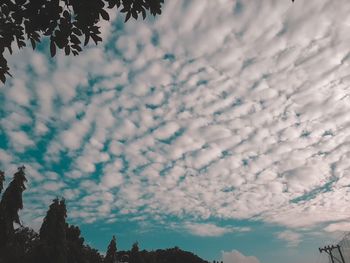Low angle view of silhouette trees against sky