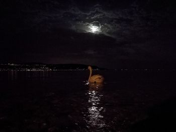 Scenic view of illuminated sea against sky at night