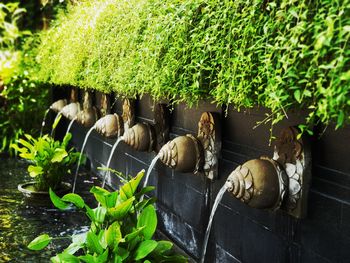 High angle view of potted plants in garden