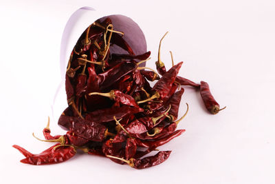 Close-up of dried chili pepper against white background