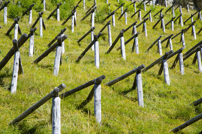 Wooden posts on grass