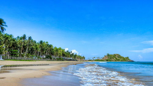 Scenic view of beach against blue sky