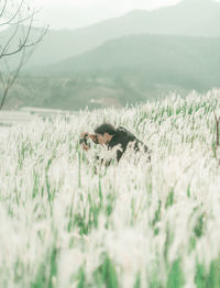 View of crab on field