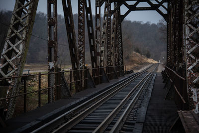 Railroad tracks against trees