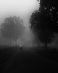 Rear view of man walking on road amidst trees