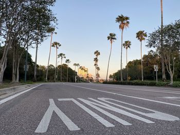 Road by trees against sky in city