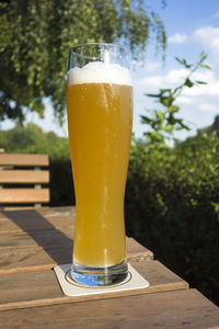 Close-up of beer glass on table