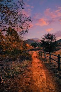 Dirt road amidst field against sky during sunset