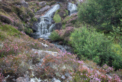 Scenic view of waterfall in forest