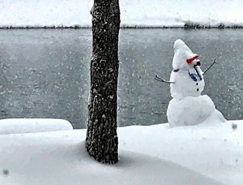 Close-up of swan perching on snow