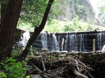 Scenic view of waterfall in forest