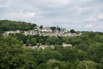 Trees and townscape against sky