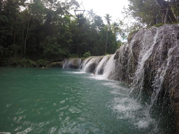Scenic view of waterfall in forest