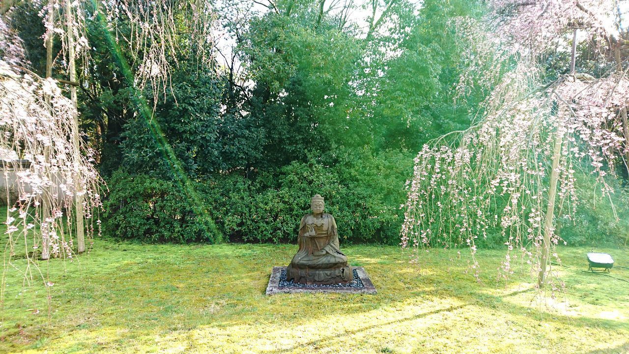 STATUE AGAINST TREE