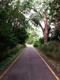 Empty road along trees