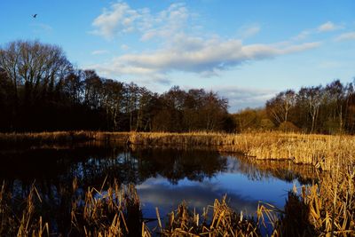 Scenic view of lake against sky