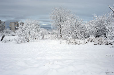 Snow covered field against sky