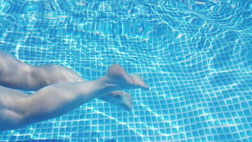 Low section of man swimming in pool