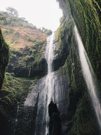 Blurred motion of waterfall amidst trees in forest