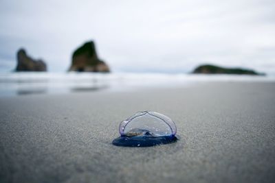 Close-up of rock on beach