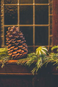 Close-up of pine cones