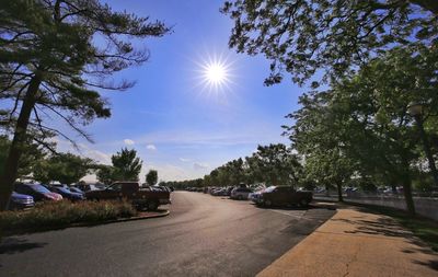 Sun shining through trees on sunny day