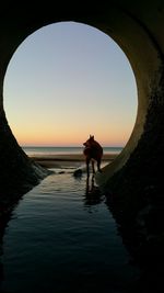 Silhouette man standing in sea against sky during sunset