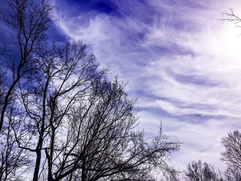 Low angle view of bare tree against cloudy sky