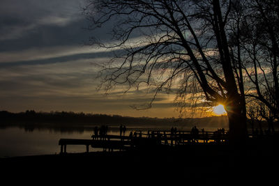 Silhouette of trees at sunset