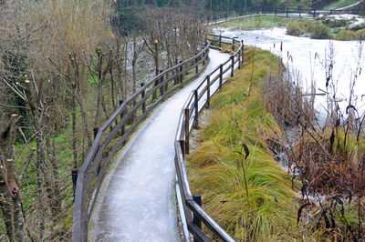 Panoramic shot of road amidst trees