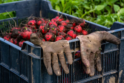 Close-up of fruits for sale at market stall