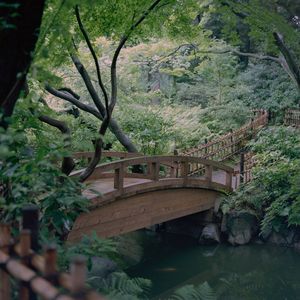 Bridge over river in forest