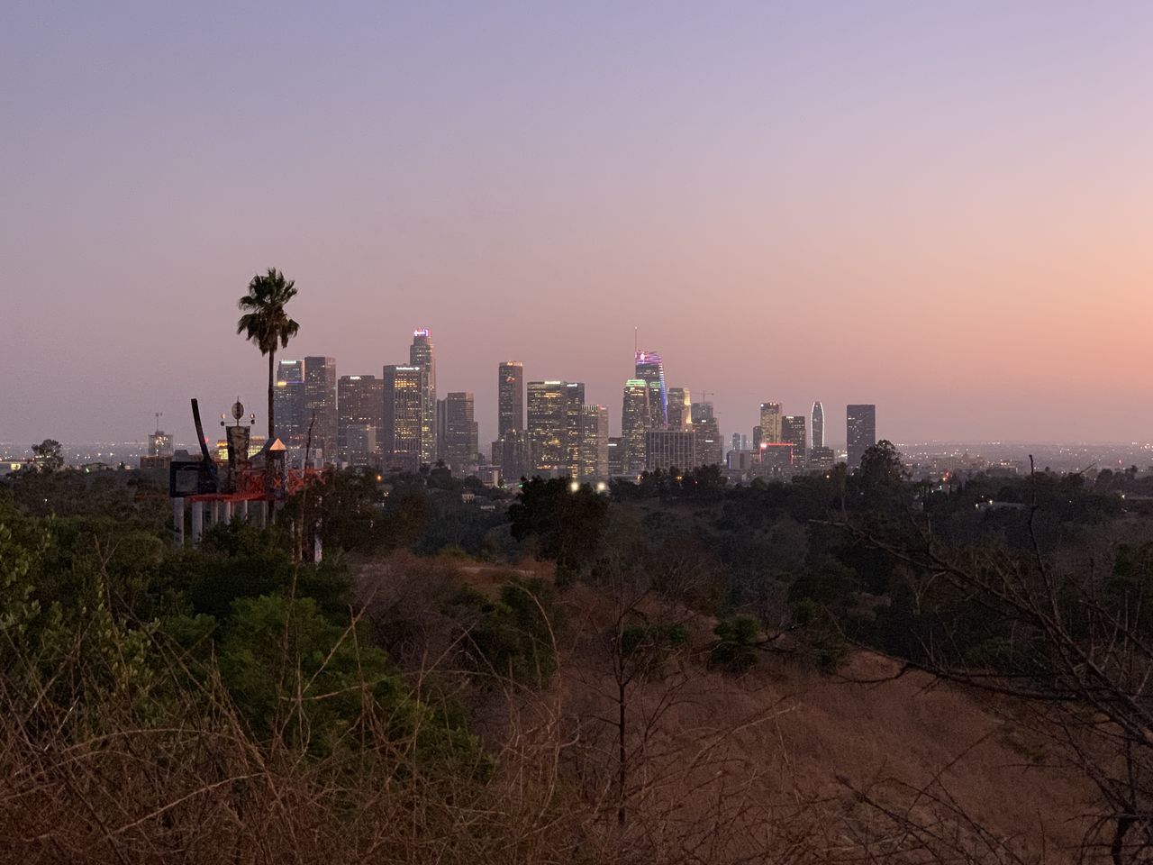 building exterior, built structure, architecture, sky, building, city, cityscape, plant, landscape, nature, no people, tree, sunset, growth, clear sky, residential district, tall - high, outdoors, urban skyline, skyscraper, office building exterior