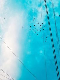 Low angle view of birds flying in sky