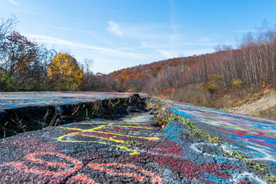 Scenic view of multi colored trees against sky