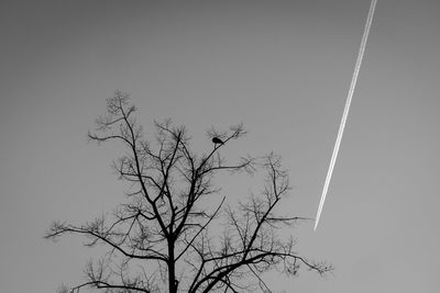 Low angle view of bare tree against sky