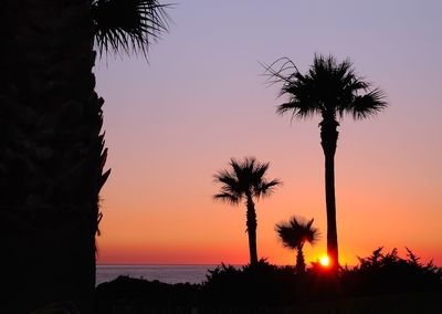 Silhouette palm trees against sea during sunset