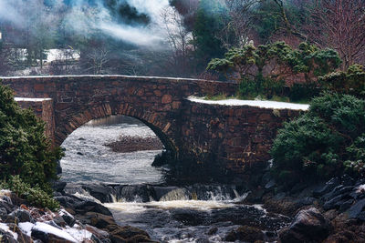 Bridge over river against trees in forest