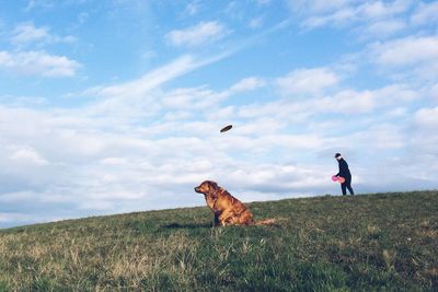 View of dog on field against sky