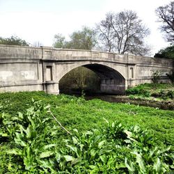 View of bridge with trees in foreground