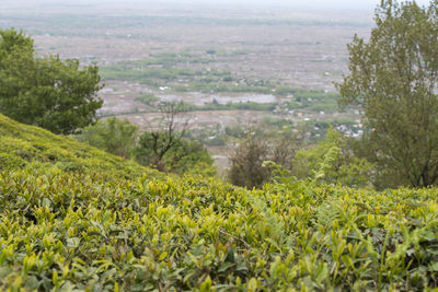 Scenic view of rural landscape