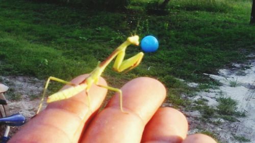 Cropped image of man holding hands